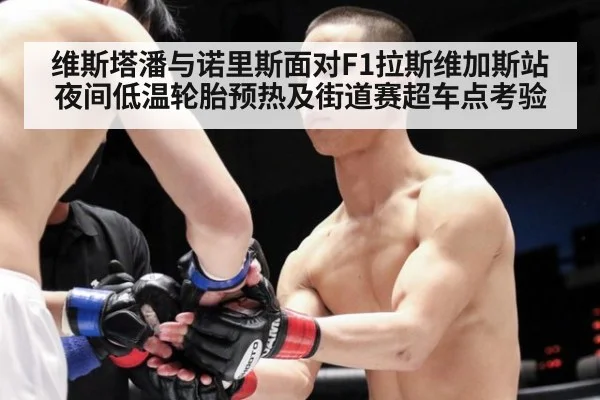 维斯塔潘与诺里斯面对F1拉斯维加斯站夜间低温轮胎预热及街道赛超车点考验 | jiuyouhui